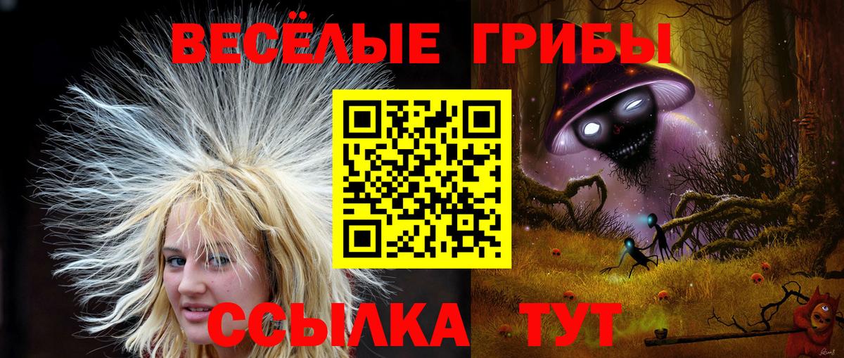 Псилоцибиновые грибы прущие грибы Шали